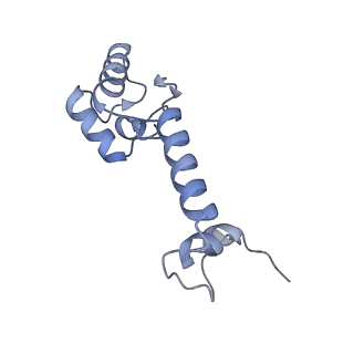 37551_8whx_n_v1-0
Cryo- EM structure of Mycobacterium smegmatis 70S ribosome and RafH.