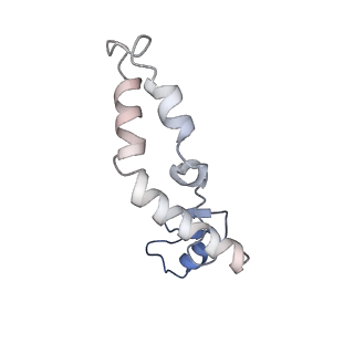 37551_8whx_o_v1-0
Cryo- EM structure of Mycobacterium smegmatis 70S ribosome and RafH.