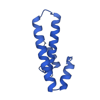 37551_8whx_p_v1-0
Cryo- EM structure of Mycobacterium smegmatis 70S ribosome and RafH.