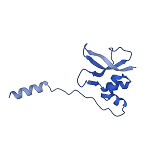 37551_8whx_q_v1-0
Cryo- EM structure of Mycobacterium smegmatis 70S ribosome and RafH.