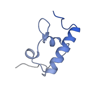 37551_8whx_s_v1-0
Cryo- EM structure of Mycobacterium smegmatis 70S ribosome and RafH.