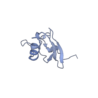 37551_8whx_t_v1-0
Cryo- EM structure of Mycobacterium smegmatis 70S ribosome and RafH.