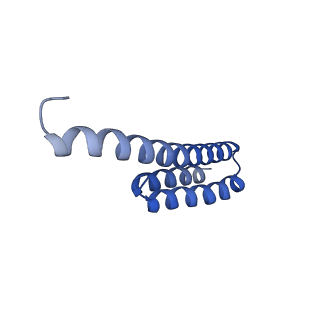 37551_8whx_u_v1-0
Cryo- EM structure of Mycobacterium smegmatis 70S ribosome and RafH.