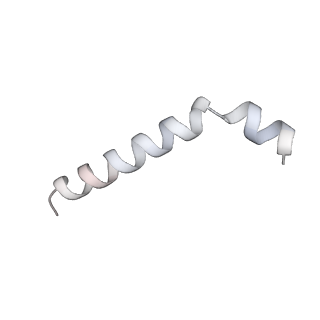 37551_8whx_v_v1-0
Cryo- EM structure of Mycobacterium smegmatis 70S ribosome and RafH.