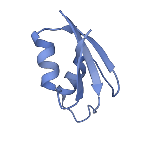 37552_8why_3_v1-0
Cryo- EM structure of Mycobacterium smegmatis 50S ribosomal subunit (body 1) of 70S ribosome and RafH.