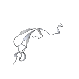 37552_8why_4_v1-0
Cryo- EM structure of Mycobacterium smegmatis 50S ribosomal subunit (body 1) of 70S ribosome and RafH.