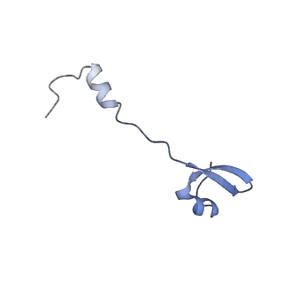 37552_8why_5_v1-0
Cryo- EM structure of Mycobacterium smegmatis 50S ribosomal subunit (body 1) of 70S ribosome and RafH.