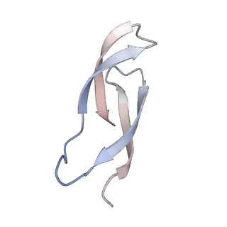 37552_8why_6_v1-0
Cryo- EM structure of Mycobacterium smegmatis 50S ribosomal subunit (body 1) of 70S ribosome and RafH.