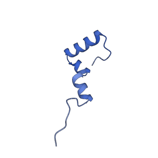 37552_8why_7_v1-0
Cryo- EM structure of Mycobacterium smegmatis 50S ribosomal subunit (body 1) of 70S ribosome and RafH.