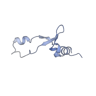 37552_8why_8_v1-0
Cryo- EM structure of Mycobacterium smegmatis 50S ribosomal subunit (body 1) of 70S ribosome and RafH.