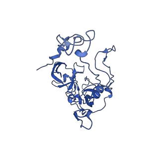 37552_8why_E_v1-0
Cryo- EM structure of Mycobacterium smegmatis 50S ribosomal subunit (body 1) of 70S ribosome and RafH.