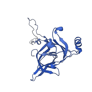 37552_8why_F_v1-0
Cryo- EM structure of Mycobacterium smegmatis 50S ribosomal subunit (body 1) of 70S ribosome and RafH.