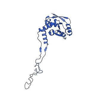 37552_8why_G_v1-0
Cryo- EM structure of Mycobacterium smegmatis 50S ribosomal subunit (body 1) of 70S ribosome and RafH.