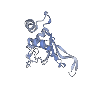 37552_8why_H_v1-0
Cryo- EM structure of Mycobacterium smegmatis 50S ribosomal subunit (body 1) of 70S ribosome and RafH.