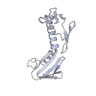 37552_8why_I_v1-0
Cryo- EM structure of Mycobacterium smegmatis 50S ribosomal subunit (body 1) of 70S ribosome and RafH.