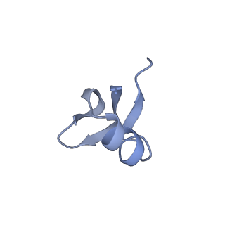 37552_8why_J_v1-0
Cryo- EM structure of Mycobacterium smegmatis 50S ribosomal subunit (body 1) of 70S ribosome and RafH.