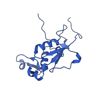 37552_8why_M_v1-0
Cryo- EM structure of Mycobacterium smegmatis 50S ribosomal subunit (body 1) of 70S ribosome and RafH.