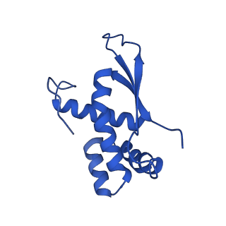 37552_8why_Q_v1-0
Cryo- EM structure of Mycobacterium smegmatis 50S ribosomal subunit (body 1) of 70S ribosome and RafH.