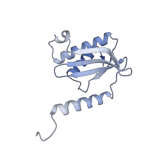 37552_8why_R_v1-0
Cryo- EM structure of Mycobacterium smegmatis 50S ribosomal subunit (body 1) of 70S ribosome and RafH.