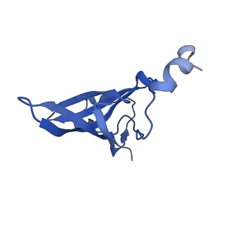 37552_8why_S_v1-0
Cryo- EM structure of Mycobacterium smegmatis 50S ribosomal subunit (body 1) of 70S ribosome and RafH.