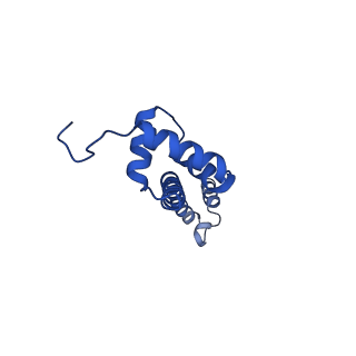 37552_8why_T_v1-0
Cryo- EM structure of Mycobacterium smegmatis 50S ribosomal subunit (body 1) of 70S ribosome and RafH.