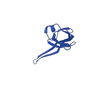 37552_8why_U_v1-0
Cryo- EM structure of Mycobacterium smegmatis 50S ribosomal subunit (body 1) of 70S ribosome and RafH.