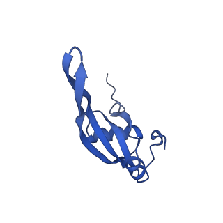 37552_8why_W_v1-0
Cryo- EM structure of Mycobacterium smegmatis 50S ribosomal subunit (body 1) of 70S ribosome and RafH.