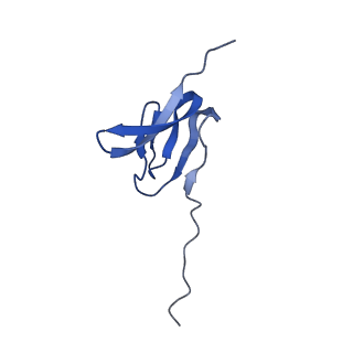 37552_8why_Z_v1-0
Cryo- EM structure of Mycobacterium smegmatis 50S ribosomal subunit (body 1) of 70S ribosome and RafH.