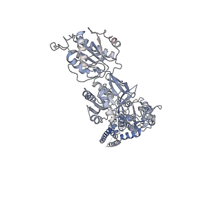 21681_6wi0_B_v1-0
GluN1b-GluN2B NMDA receptor in complex with GluN1 antagonist L689,560, class 2