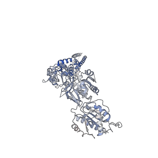 21681_6wi0_D_v1-0
GluN1b-GluN2B NMDA receptor in complex with GluN1 antagonist L689,560, class 2
