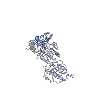 21681_6wi0_D_v2-1
GluN1b-GluN2B NMDA receptor in complex with GluN1 antagonist L689,560, class 2