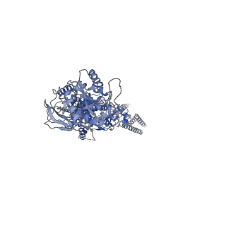 21682_6wi1_A_v1-0
GluN1b-GluN2B NMDA receptor in active conformation stabilized by inter-GluN1b-GluN2B subunit cross-linking