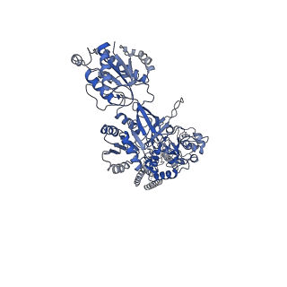 21682_6wi1_B_v1-0
GluN1b-GluN2B NMDA receptor in active conformation stabilized by inter-GluN1b-GluN2B subunit cross-linking