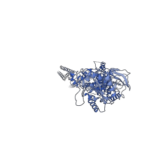 21682_6wi1_C_v1-0
GluN1b-GluN2B NMDA receptor in active conformation stabilized by inter-GluN1b-GluN2B subunit cross-linking