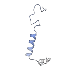 21683_6wi9_G_v1-1
Human secretin receptor Gs complex