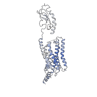 21683_6wi9_R_v1-1
Human secretin receptor Gs complex