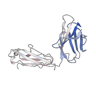 21684_6wik_C_v1-1
Cryo-EM structure of SLC40/ferroportin with Fab in the presence of hepcidin