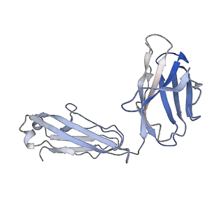 21684_6wik_C_v2-0
Cryo-EM structure of SLC40/ferroportin with Fab in the presence of hepcidin