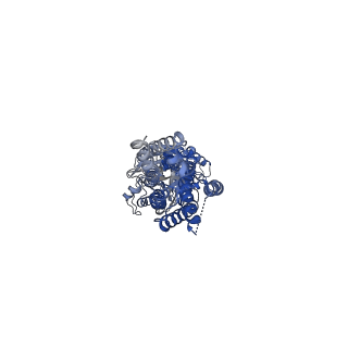 21685_6wiv_A_v1-3
Structure of human GABA(B) receptor in an inactive state