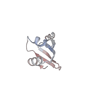 32520_7wi3_E_v1-2
Cryo-EM structure of E.Coli FtsH-HflkC AAA protease complex
