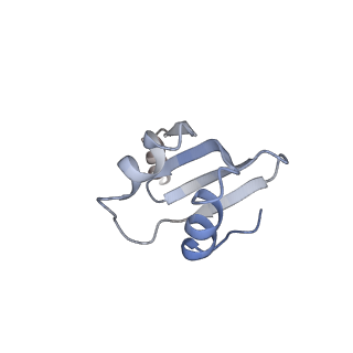 32520_7wi3_H_v1-2
Cryo-EM structure of E.Coli FtsH-HflkC AAA protease complex