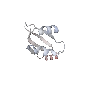 32520_7wi3_J_v1-2
Cryo-EM structure of E.Coli FtsH-HflkC AAA protease complex