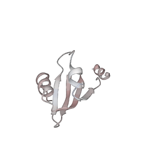 32520_7wi3_K_v1-2
Cryo-EM structure of E.Coli FtsH-HflkC AAA protease complex