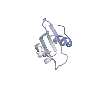 32520_7wi3_T_v1-2
Cryo-EM structure of E.Coli FtsH-HflkC AAA protease complex