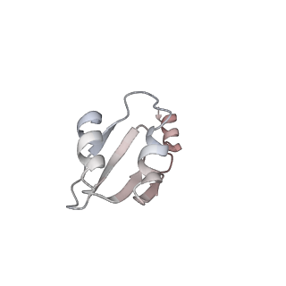 32520_7wi3_V_v1-2
Cryo-EM structure of E.Coli FtsH-HflkC AAA protease complex