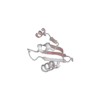 32520_7wi3_W_v1-2
Cryo-EM structure of E.Coli FtsH-HflkC AAA protease complex