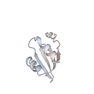 32520_7wi3_X_v1-2
Cryo-EM structure of E.Coli FtsH-HflkC AAA protease complex
