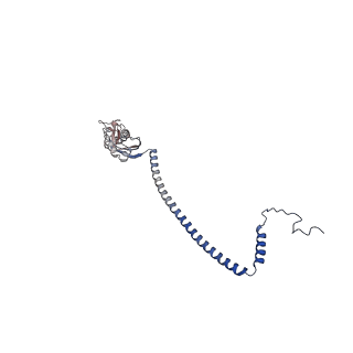32520_7wi3_d_v1-2
Cryo-EM structure of E.Coli FtsH-HflkC AAA protease complex