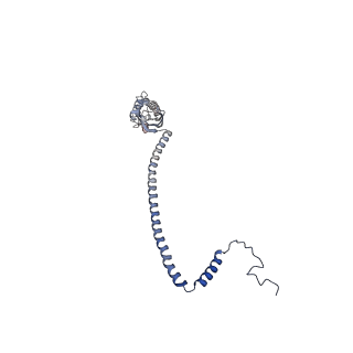 32520_7wi3_f_v1-2
Cryo-EM structure of E.Coli FtsH-HflkC AAA protease complex