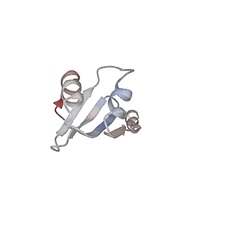 32520_7wi3_g_v1-2
Cryo-EM structure of E.Coli FtsH-HflkC AAA protease complex